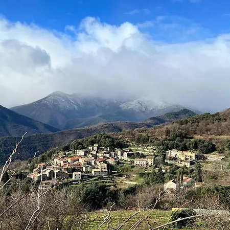 A Avec Terrasse, 40 M²